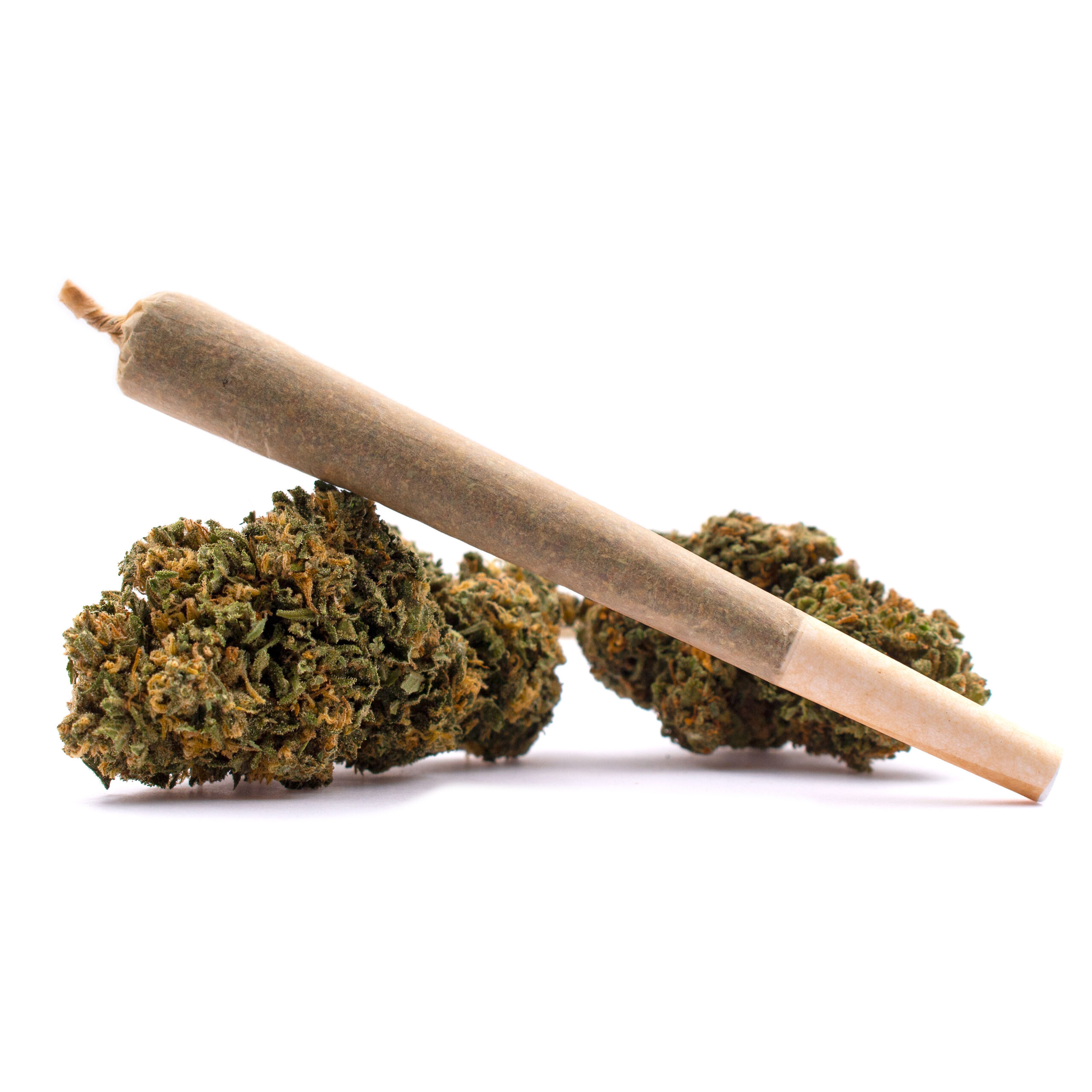 Suzie-Q-Hemp-Flower-Preroll