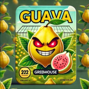 Guava Greenhose Flor Sativa